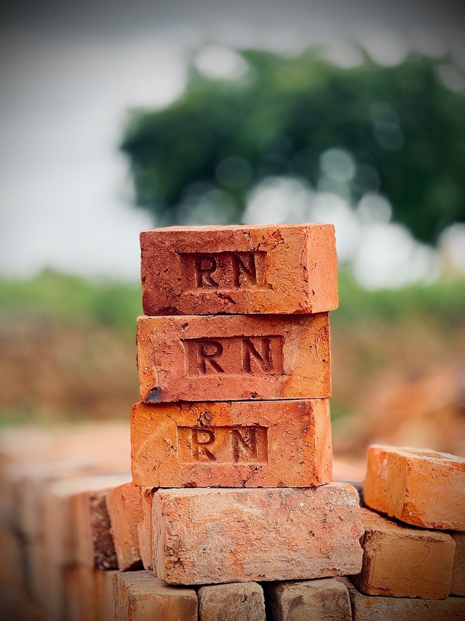 Building Development